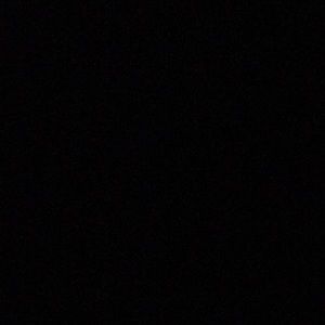 Meet your Posher, Gracie